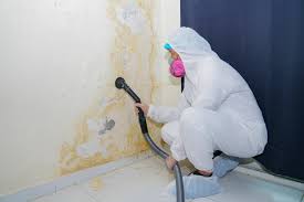 Best Environmental Consulting for Mold Prevention in Garrison, TX